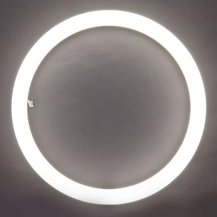 IRIS OHYAMA（アイリスオーヤマ） LED蛍光灯 丸型 丸形 LEDランプ 32形