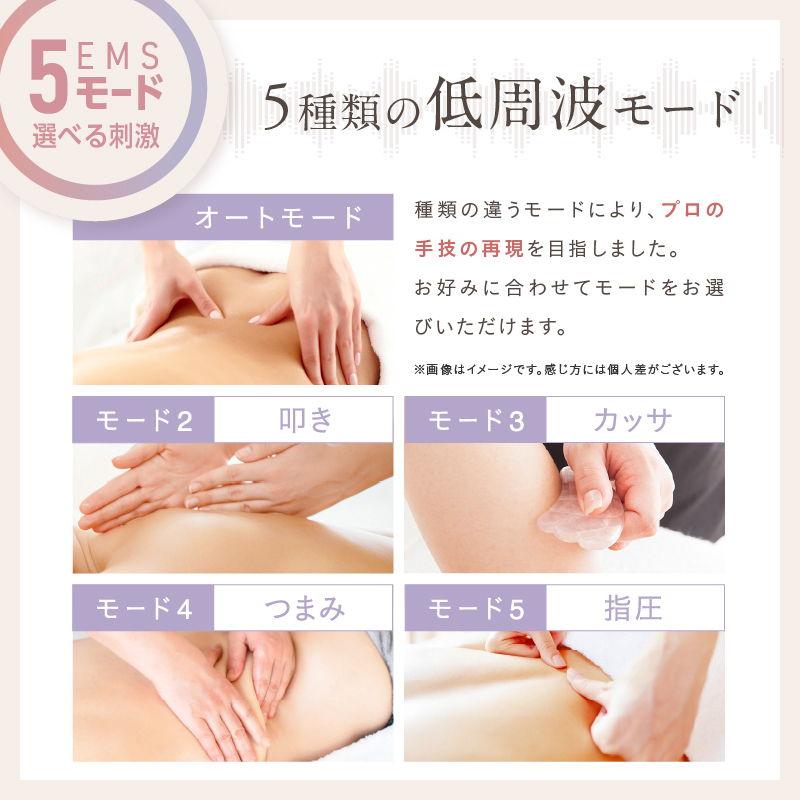 NIPLUX EMS 指圧ストレッチャー WAISTUPREMS(ウエスタプレミス) NP