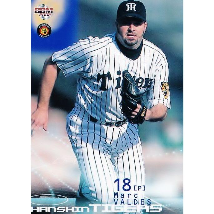 BBM 2002 BASEBALL CARDS PREMIUM100枚入り BBM 2002 BASEBALL CARDS