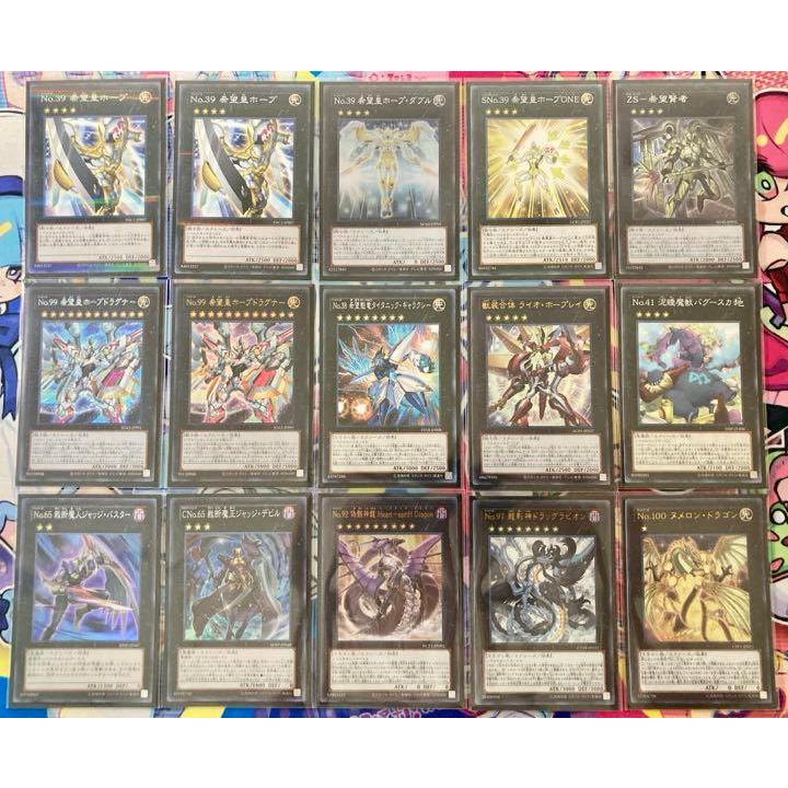 本格構築 【No.99ホープドラグナー】デッキ&エクストラ&二重スリーブ