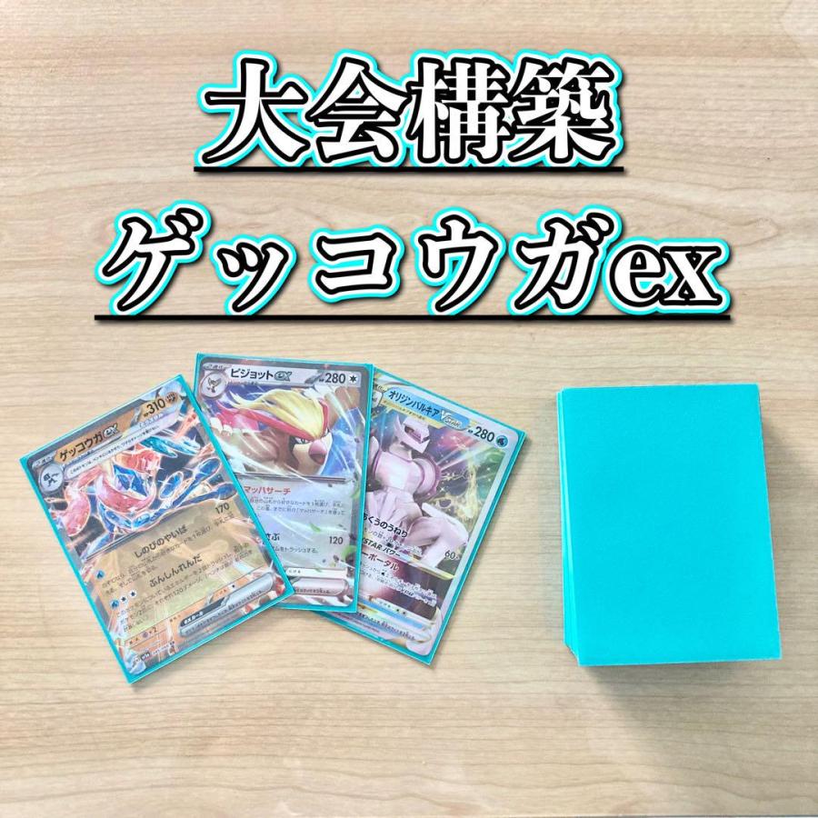 本格構築 デッキ＆二重スリーブ ポケモンカード 本格構築 【ロスト