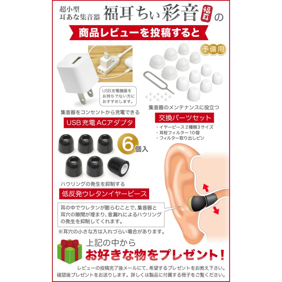 福耳 （USB充電アダプタ付） 集音器 超小 耳穴型 ちい彩音(ちいさい