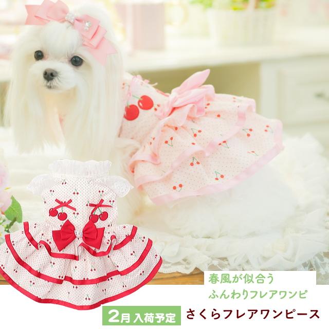 犬服 SS わんこの普段着キャンディ