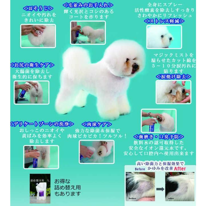 マジックミスト マジックミスト詰替用 Magic Mist 1000ml : K-wan