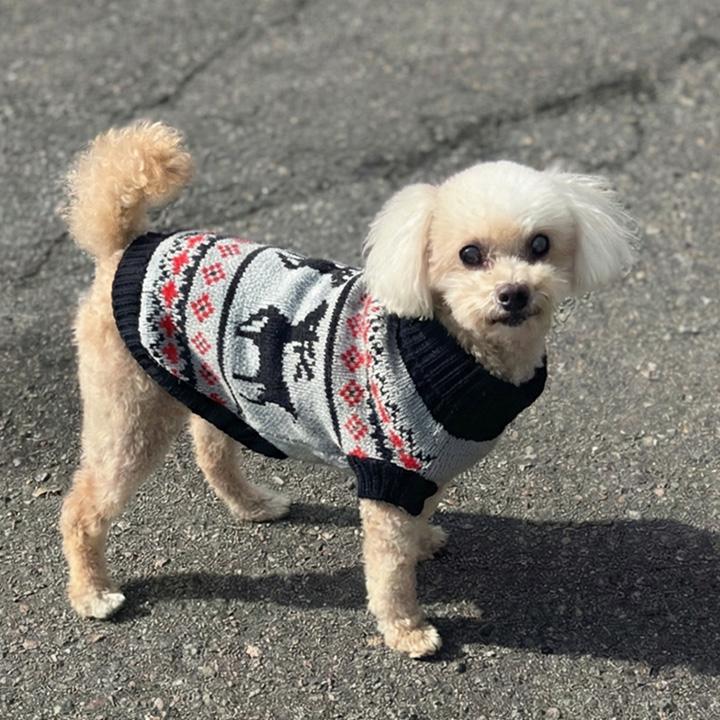 はっぴーDOG 犬 服 犬服 犬の服 【はっぴーDOG】 セーター ニット 生地