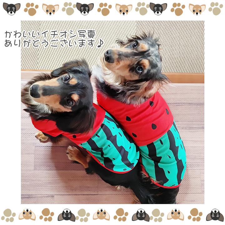 はっぴーDOG 犬 服 夏 犬服 犬の服 おしゃれトイプードル チワワ