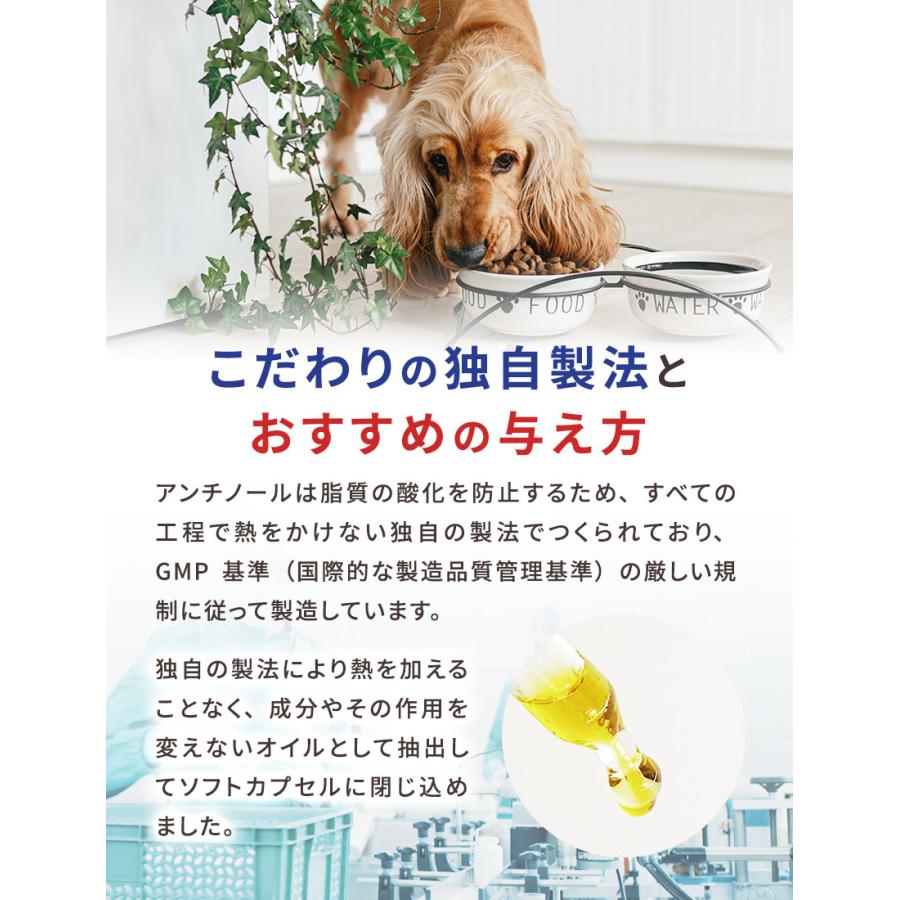 アンチノール プラス 90粒 : 仁友堂 - 通販 - Yahoo!ショッピング