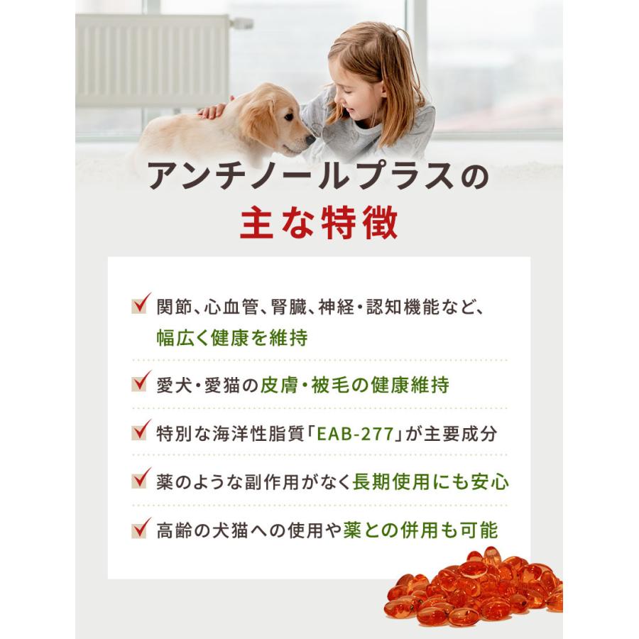 アンチノール プラス 90粒 : 仁友堂 - 通販 - Yahoo!ショッピング