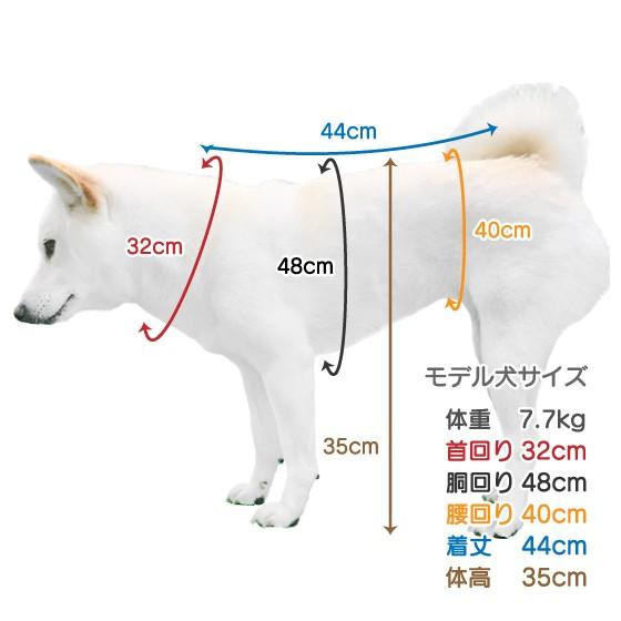 犬 マナーウェア 犬用品 メス マナーパンツ 柴犬 中型犬 生理