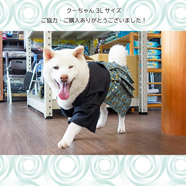 専用【犬用！Ssizeオリジナル男の子用袴】no100 Amazon | 犬服工房 袴 小型