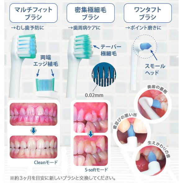 GC ジーシー プリニア 替えブラシ 密集極細毛ブラシ 2本入 PRINIA 5個