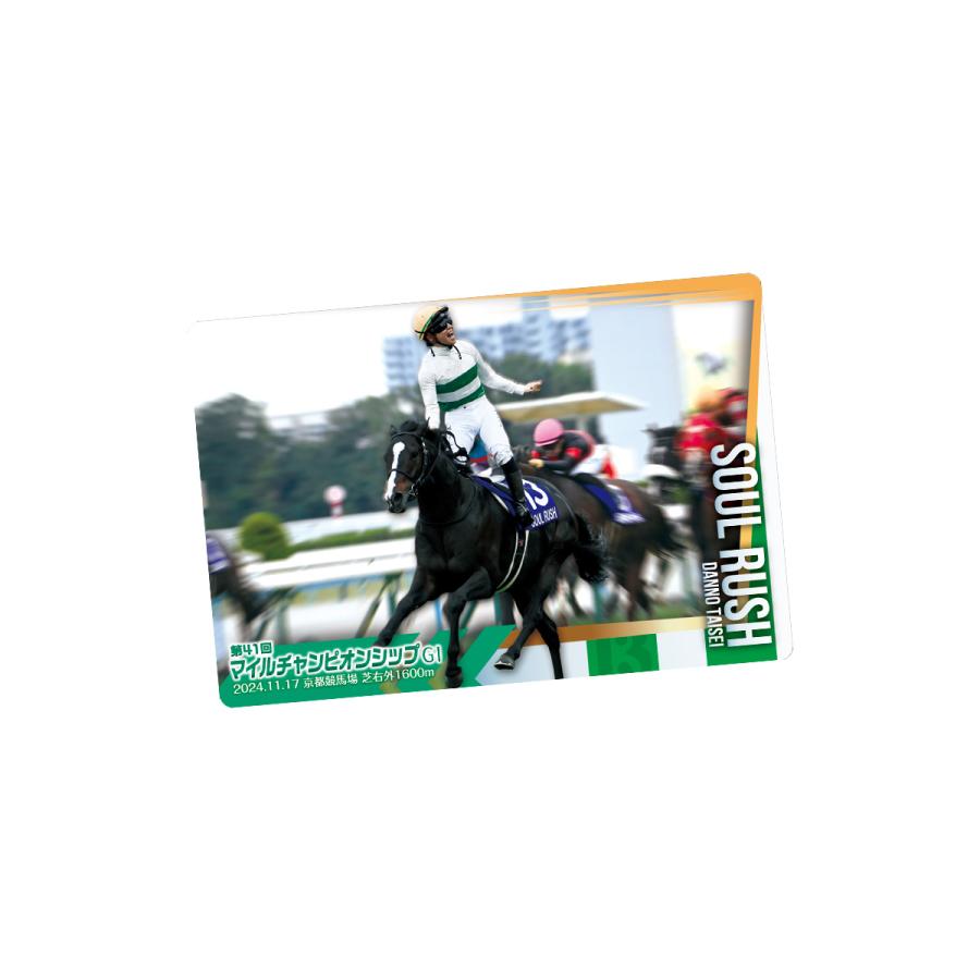 BANDAI（バンダイ） サラブレッドホースコレクション ツインウエハース