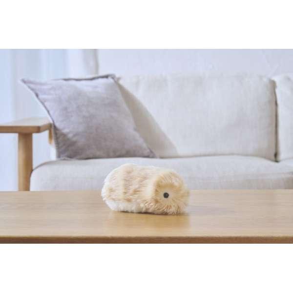 新品未使用】CASIO モフリン ゴールド 楽天市場】【在庫あり・送料無料