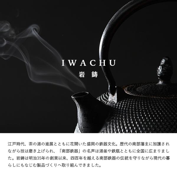 岩鋳（IWACHU） 南部鉄器 鉄瓶 急須 5型 アラレ あられ 直火 IH対応