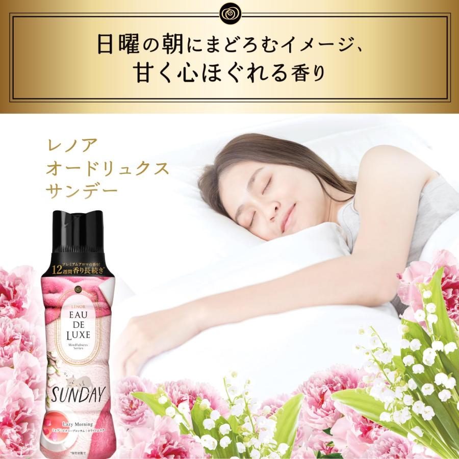 レノア オードリュクス 香り付け専用ビーズ マインドフルネスシリーズ