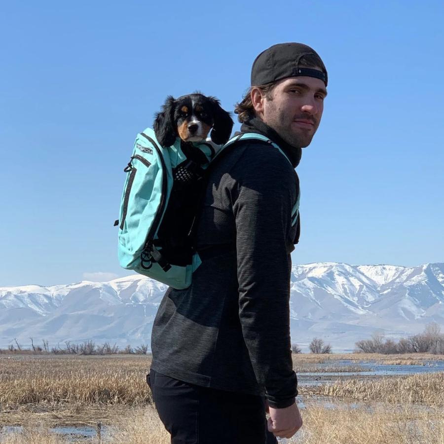 K9スポーツサック エアプラス Plus 2 /K9 SPORT SACK PLUS 犬用