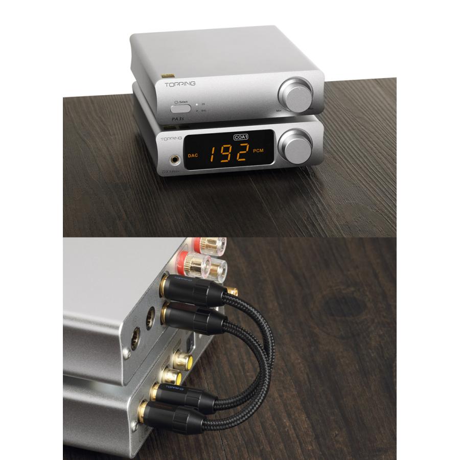 Topping トッピング PA3S パワーアンプ フルバランス クラスD アンプ