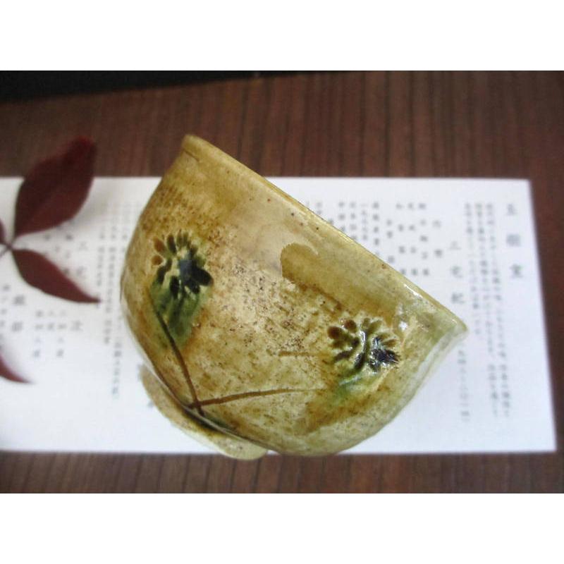湯呑み 黄瀬戸 削花文 汲み出し 煎茶 玉樹窯 三宅紀保 MY-458 : 織部の