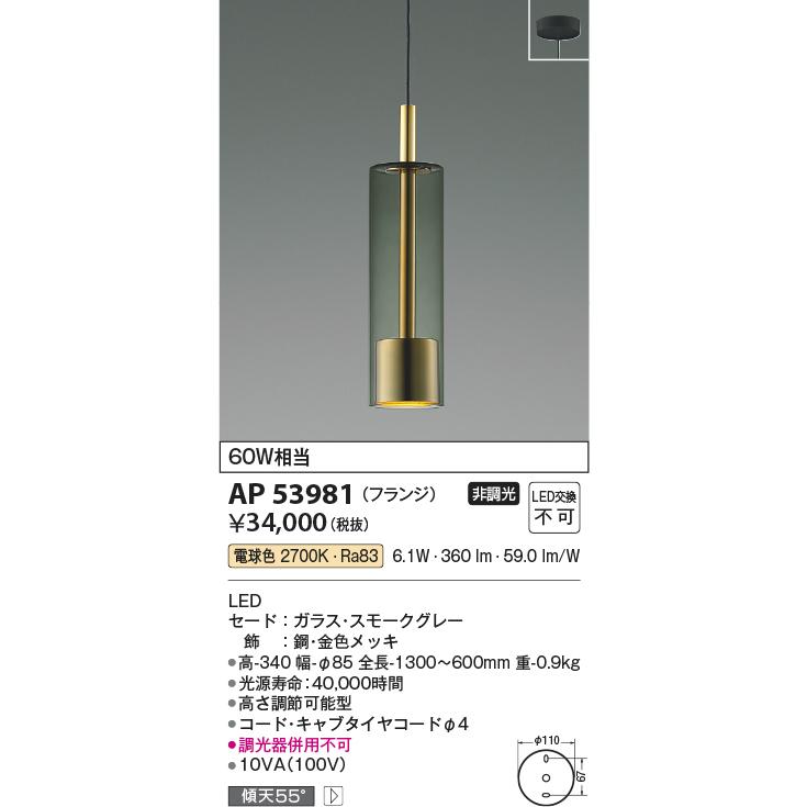 KOIZUMI（コイズミ） AP53981 ペンダントライト LED一体型 非調光 60W