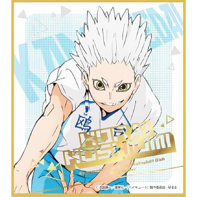 星海光来】 ハイキュー!! ビジュアル色紙コレクション6 : トレカ