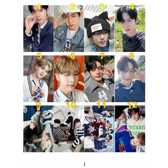 XLOV MINIRECORD 特典トレカ4枚セット XLOV MINIRECORD 特典トレカ4枚