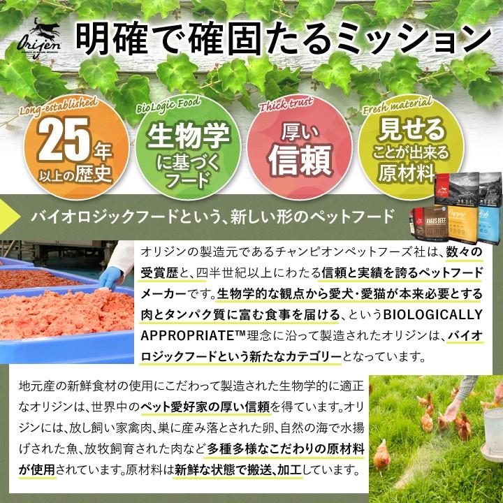 ラスト！originオリジン シニア11.4kg送料無料 ORIJEN（オリジン