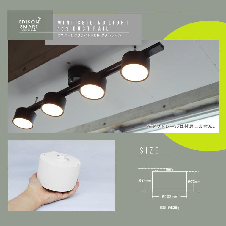 Edison Smart（エジソンスマート） ダクトレール用 照明 2個セット 引