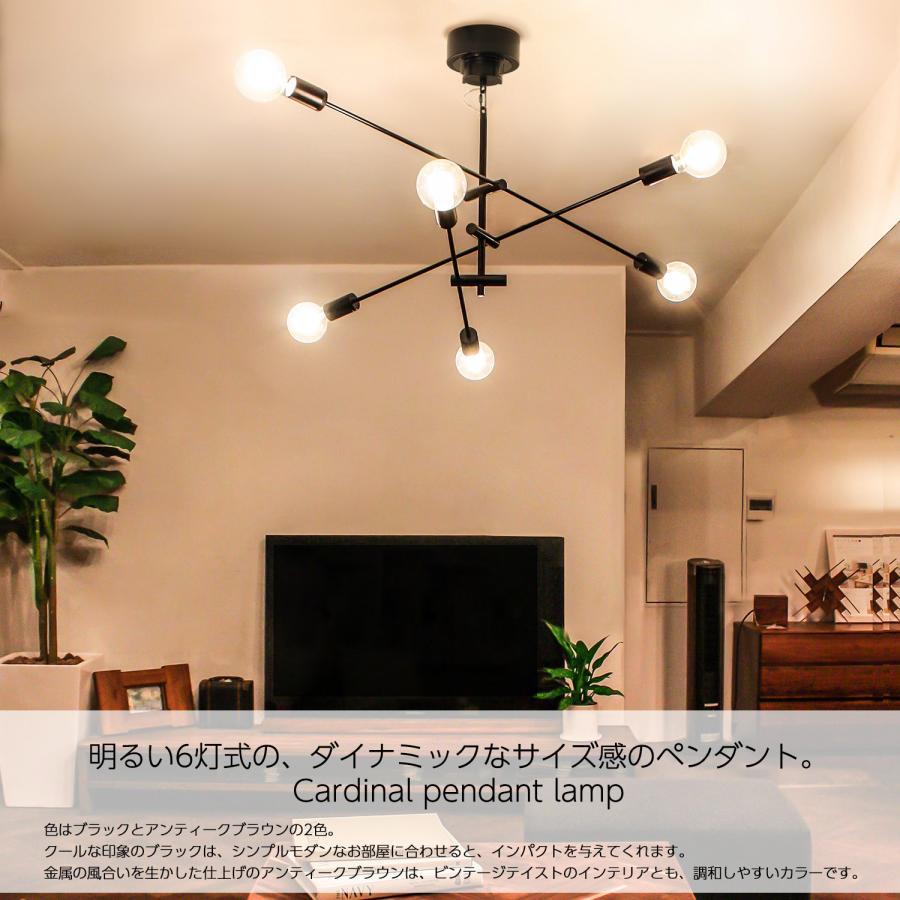 DI CLASSE（ディクラッセ） カーディナル ブラック ペンダントライト