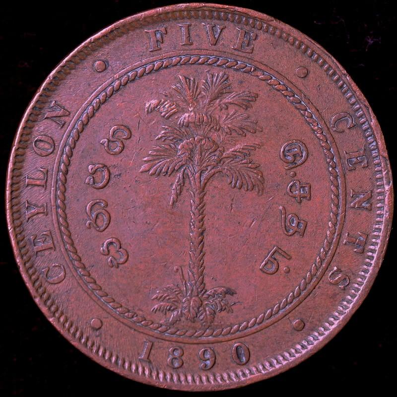 イギリス領セイロン島 ヴィクトリア ビクトリア 1890年 5セント銅貨