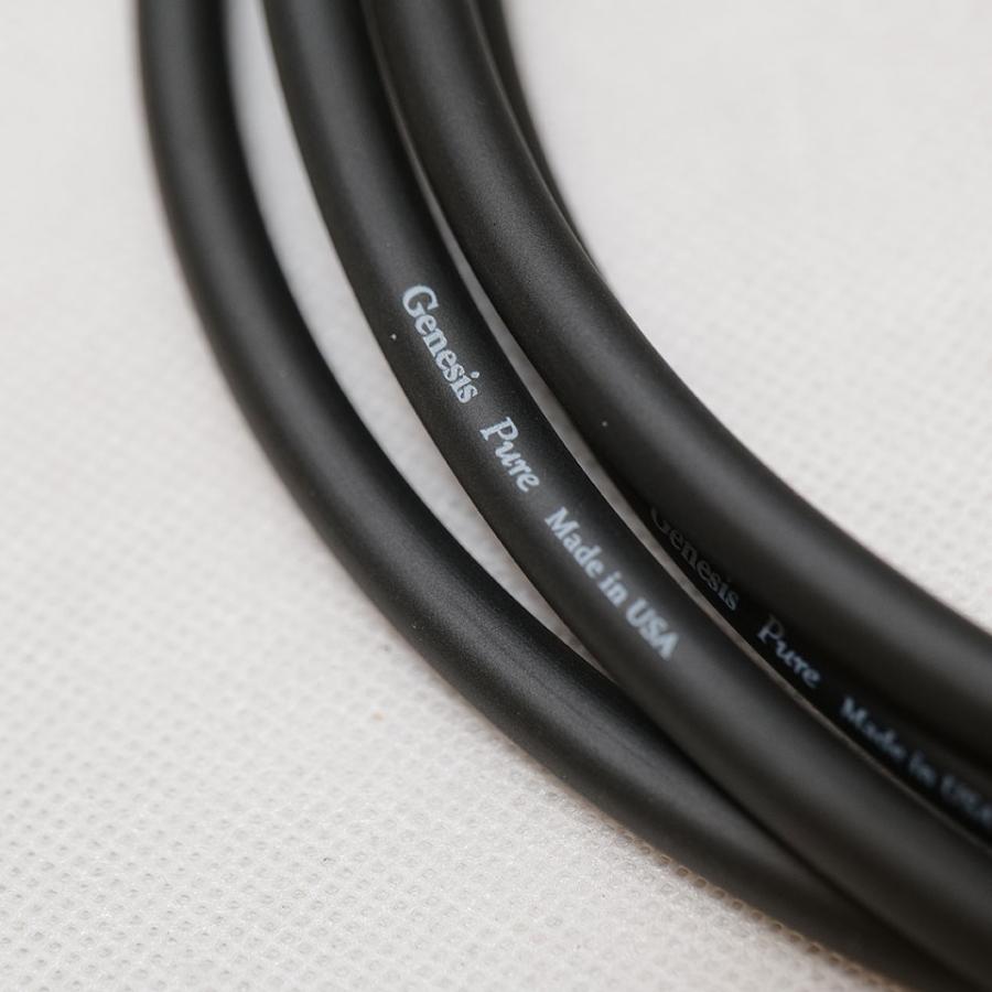 ANALYSIS PLUS/GENESIS PURE ブラック 3m S/S【数量限定特価