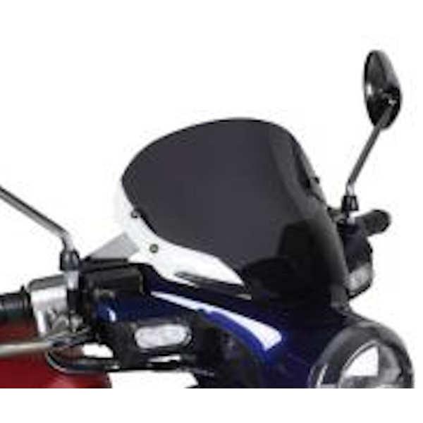 スペシャルパーツ武川 タケガワ 09-11-0089 メーターバイザーキット