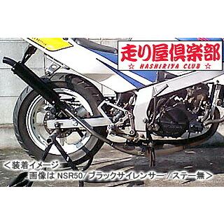 RSY 走り屋倶楽部 タイプ1 （シルバー）ステー付属/NSR50［AC10］ 115