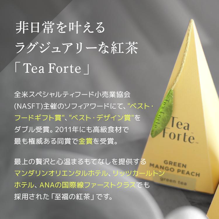 ティーフォルテ TEA FORTE ティーテイスティング ダブル 20個入り 紅茶
