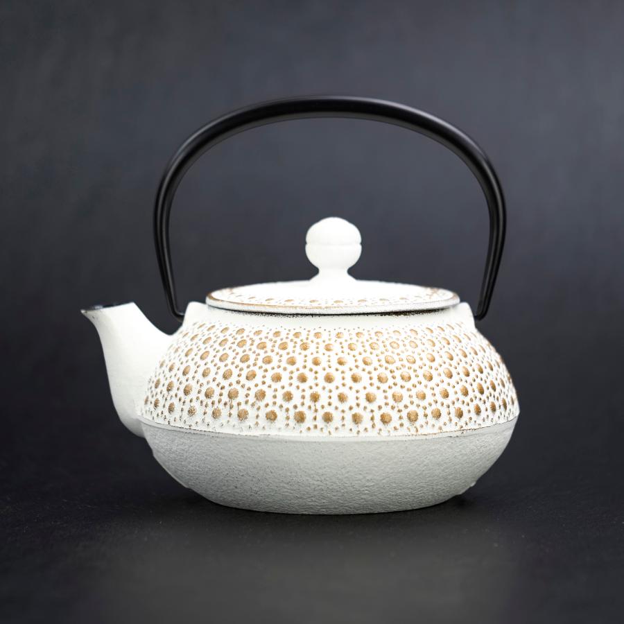 南部鉄器 岩鋳 アンシャンテ ジャポン ENCHAN-THE JAPON ティーポット