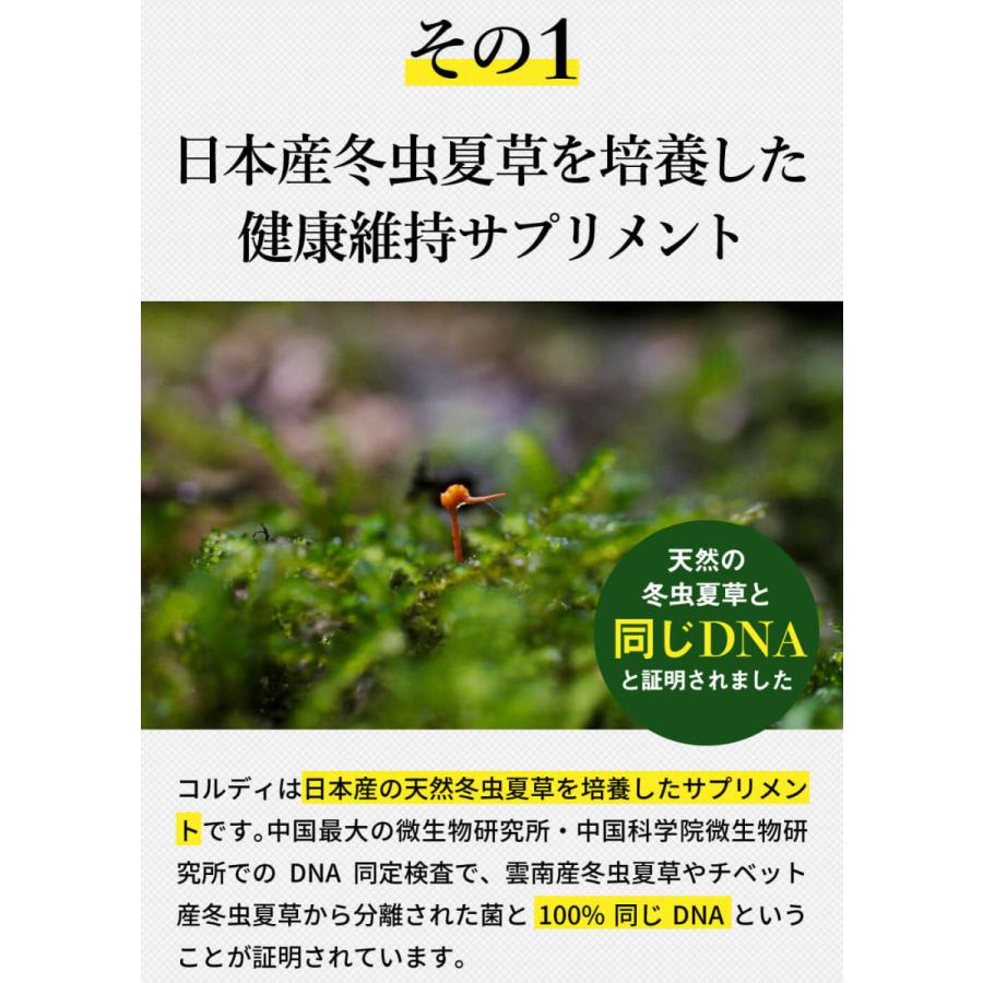 モノリス 犬用 猫用 ペット サプリメント コルディG100g 5個セット