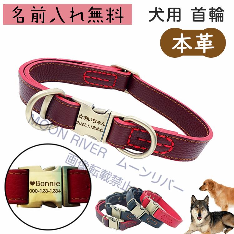 レザー首輪 犬 革 名前入り 名入れ 首輪 本革 柔らかい おすすめ