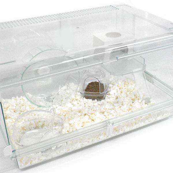 GEX（ジェックス） グラスハーモニー 600N おすすめセット 温湿度計