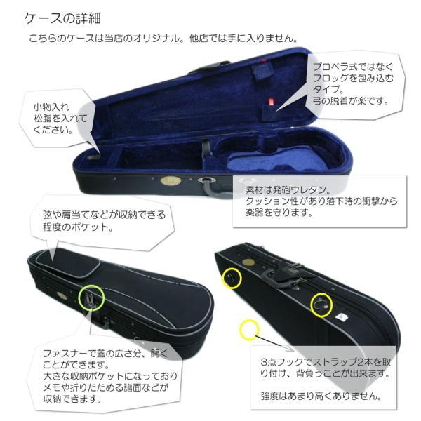 KIKUTANI（キクタニ） 初心者向け バイオリン SV180BC【サイズ1/2】9点