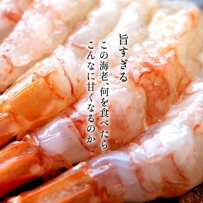 モサエビ 500g(約20尾) 猛者えび 鳥取県産 幻のえび 日本海 旨味が強い