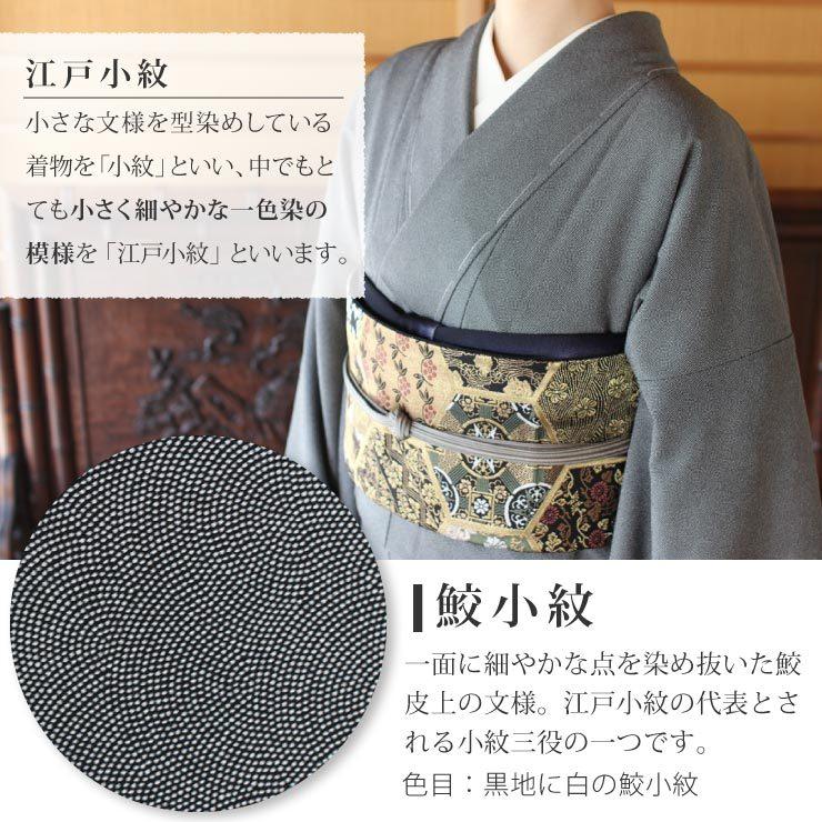 TORAY（東レ） 洗える着物 単衣 街着屋 江戸小紋 鮫小紋 黒色 M L