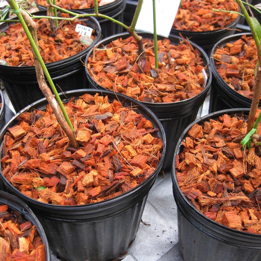 ハスクチップ2S(6〜13mm)約200リットル 4cu113リットル圧縮袋【時間