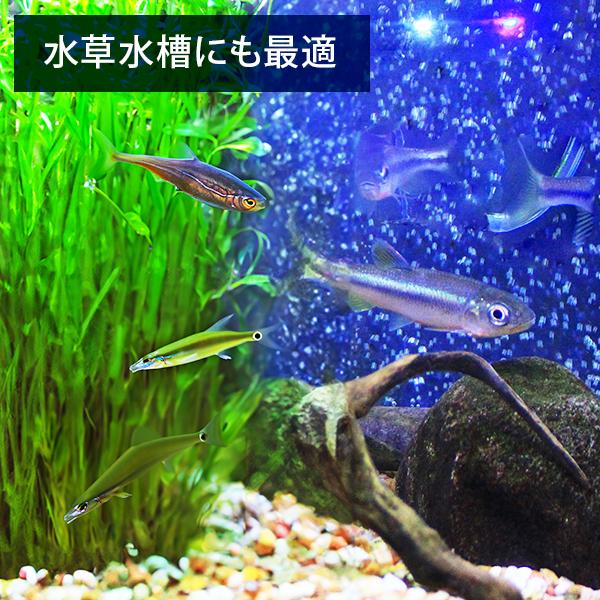 EHEIM（エーハイム） クラシックフィルター 2213 3点セット