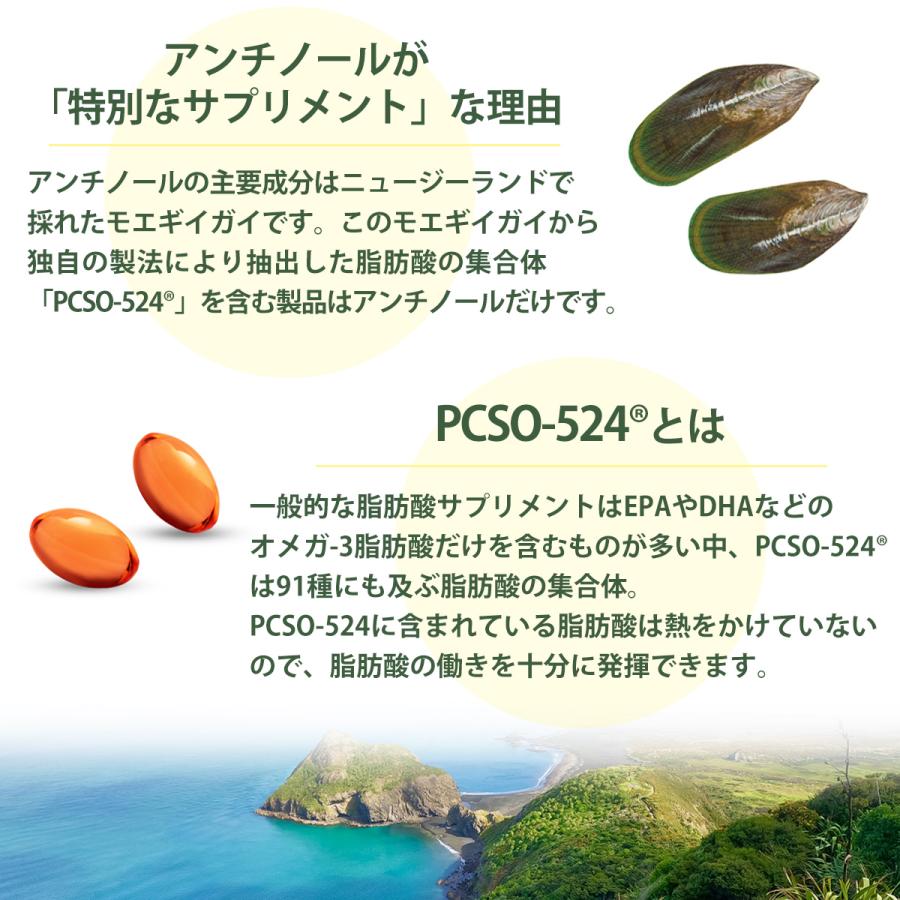 アンチノール プラス 犬用 90粒 アンチノールplus 犬用サプリメント