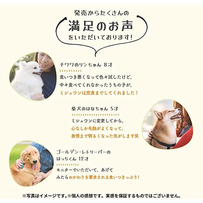 MISHONE（ミシュワン） 【公式】 【トライアル100g×2個セット