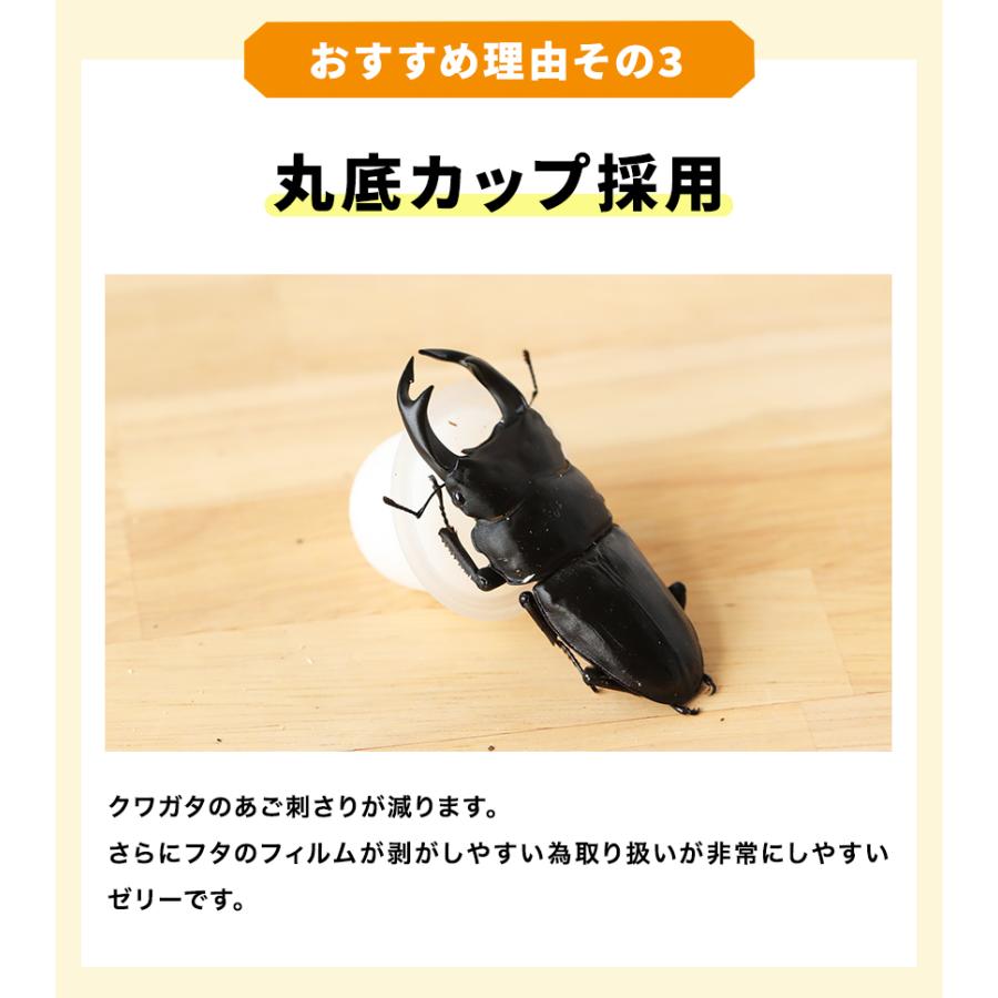 むしや本舗 食いつき抜群！ プロゼリー（KBファーム社製）純国産 昆虫