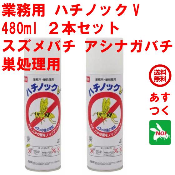 蜂の巣消毒済み