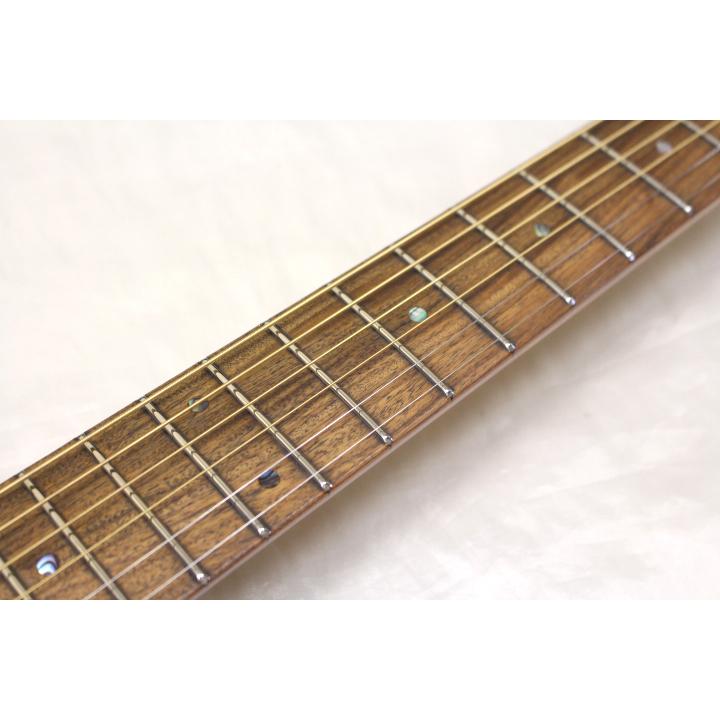 新品 SCHECTER(シェクター) / OL-FL BLK エレアコ 初心者にもおすすめ