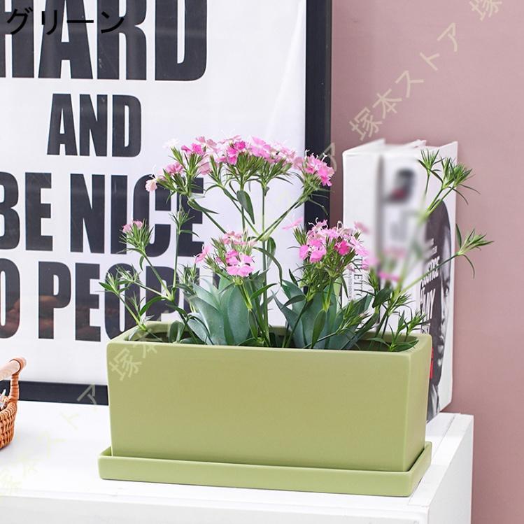 サボテン用 植木鉢 陶器鉢 受け皿 底穴付き 小型植物 多肉植物 卓上