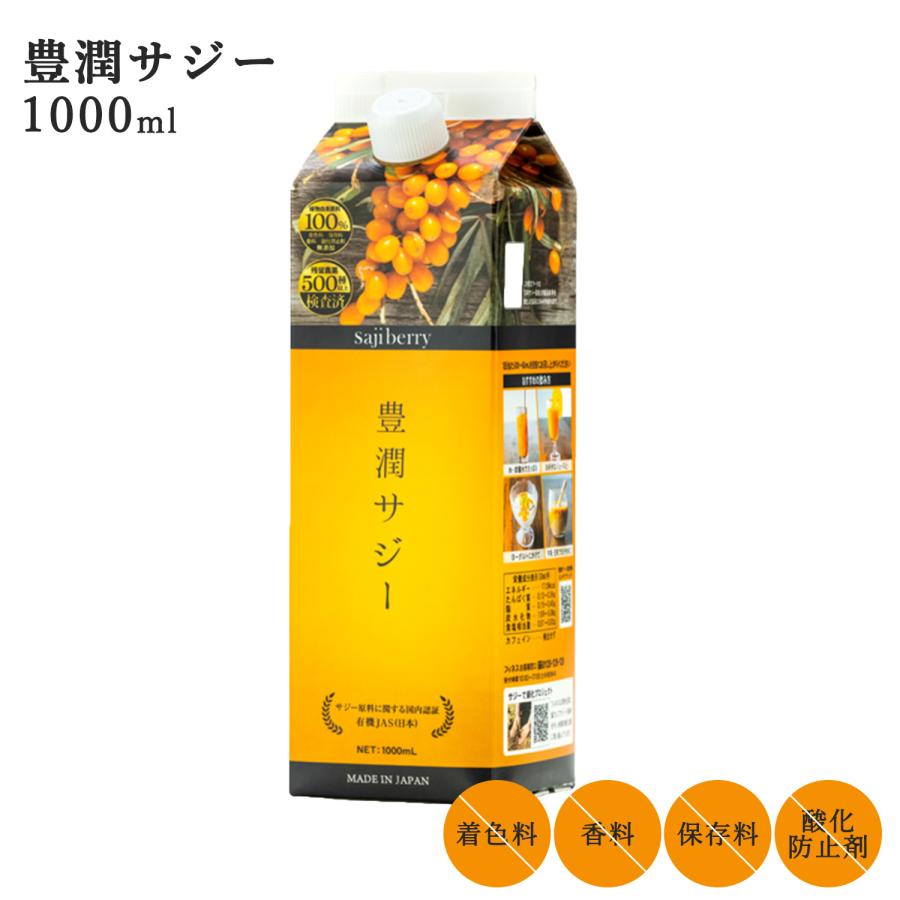 フィネス サジー ジュース 豊潤サジー 1000ml 紙パックタイプ 鉄分