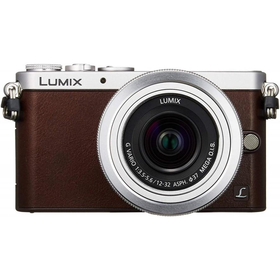 限定価格！LUMIX DMC-GM1S ブラウン 付属品たくさんお得セット